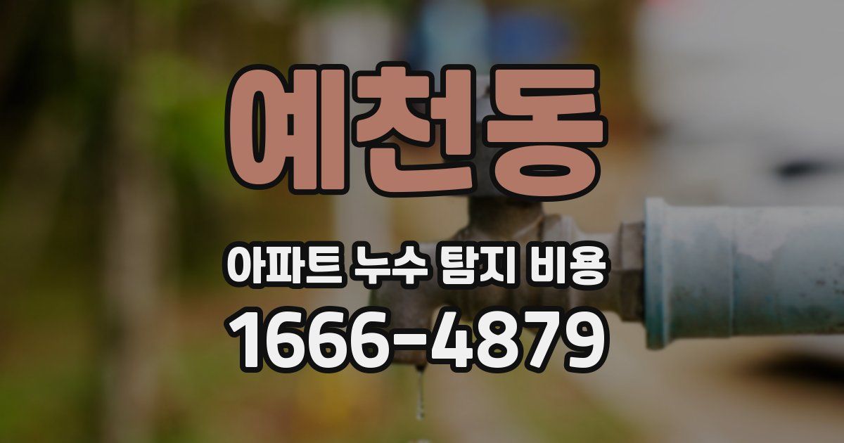 예천동 아파트 누수 탐지 비용