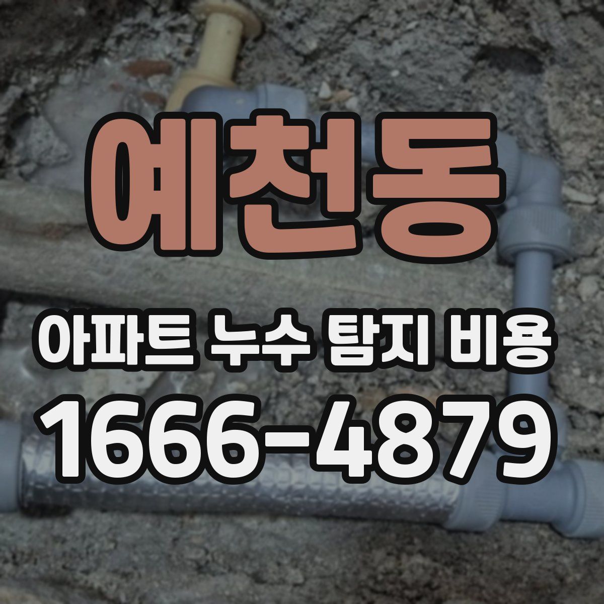 예천동 아파트 누수 탐지 비용