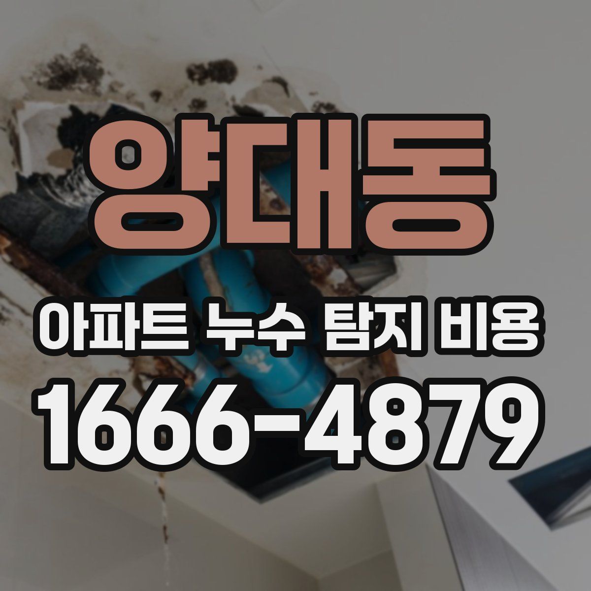 양대동 아파트 누수 탐지 비용