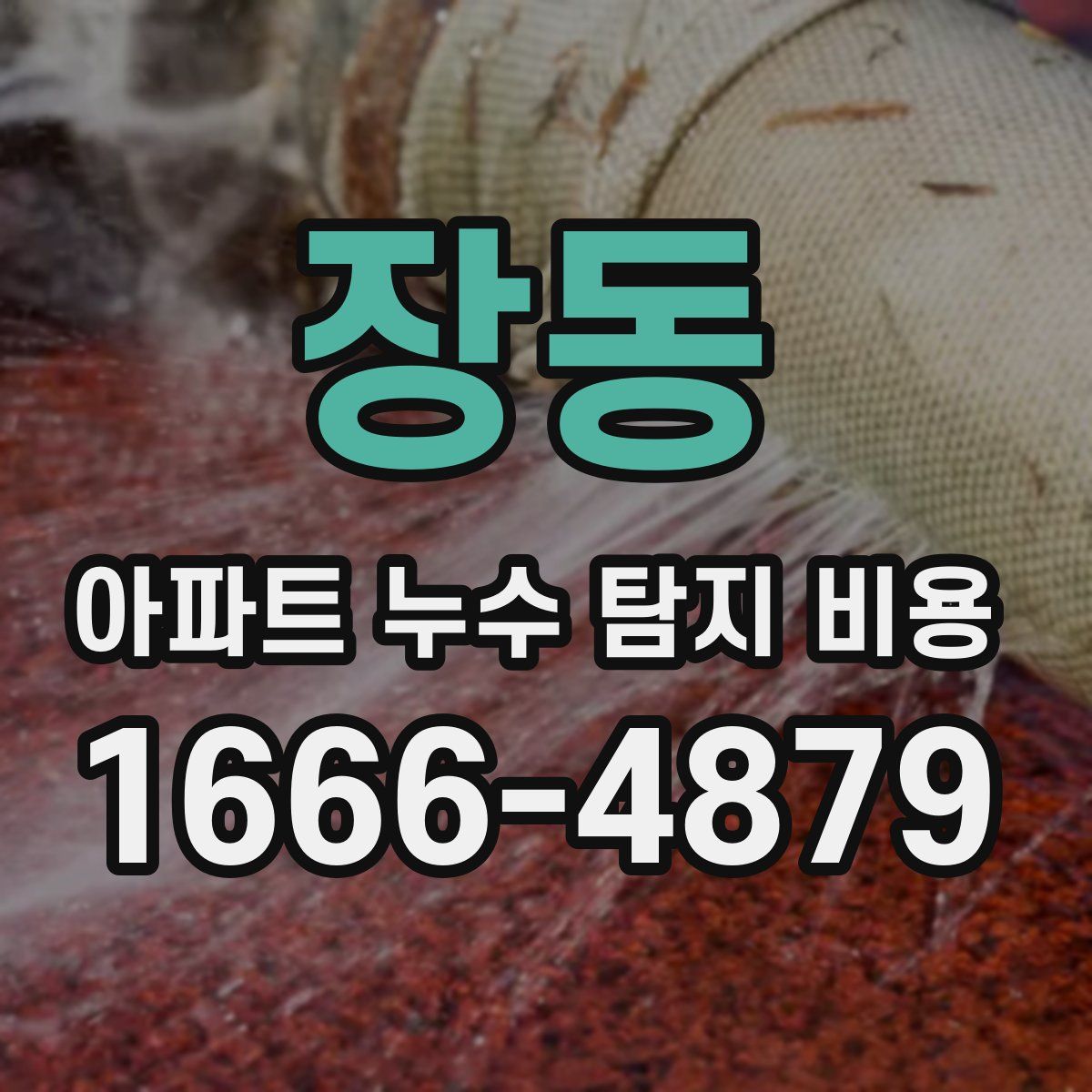 장동 아파트 누수 탐지 비용