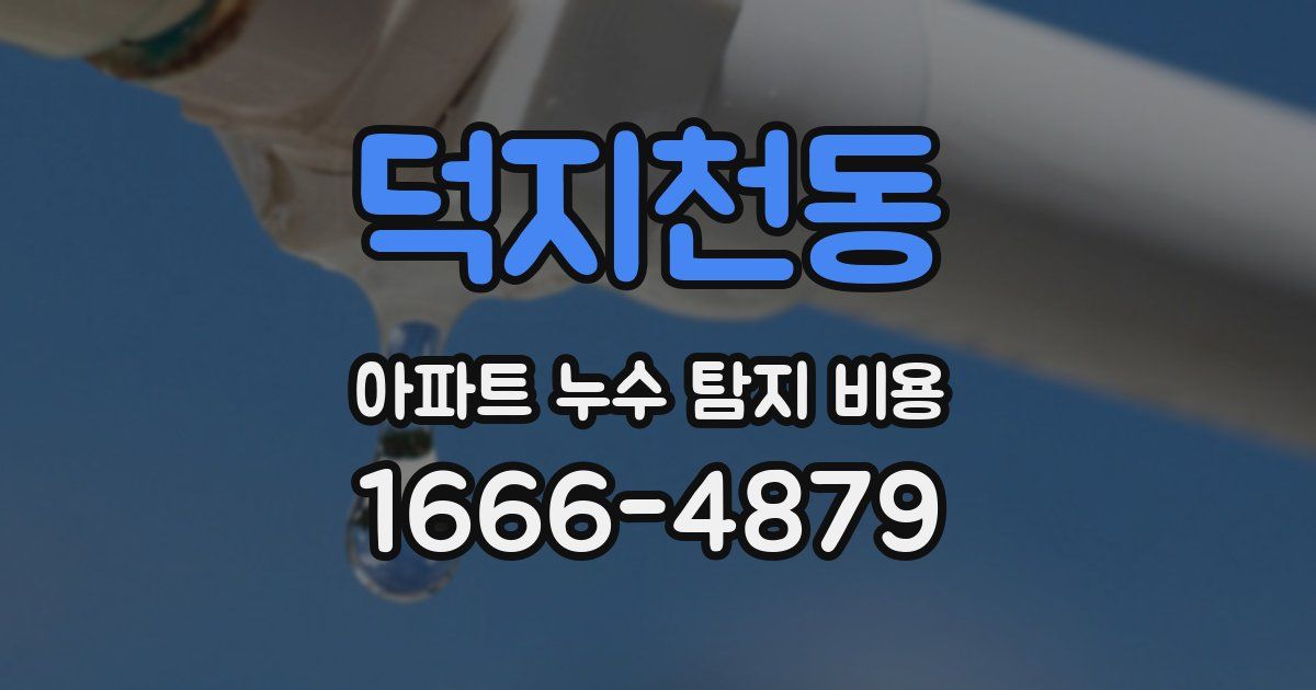 덕지천동 아파트 누수 탐지 비용