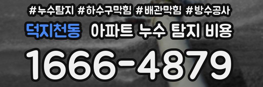 덕지천동 아파트 누수 탐지 비용