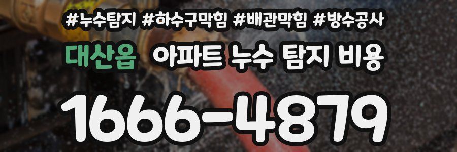 대산읍 아파트 누수 탐지 비용