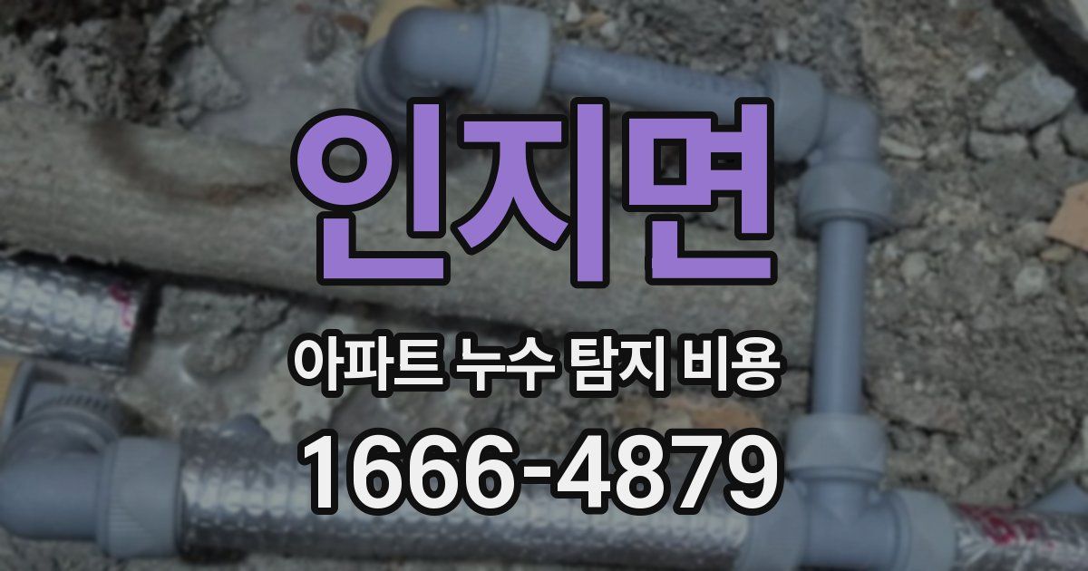 인지면 아파트 누수 탐지 비용