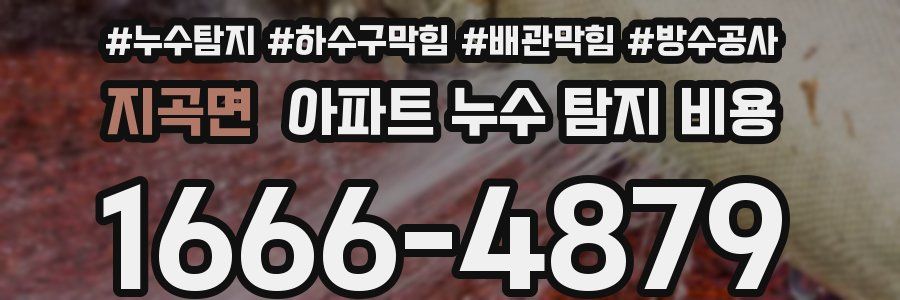 지곡면 아파트 누수 탐지 비용