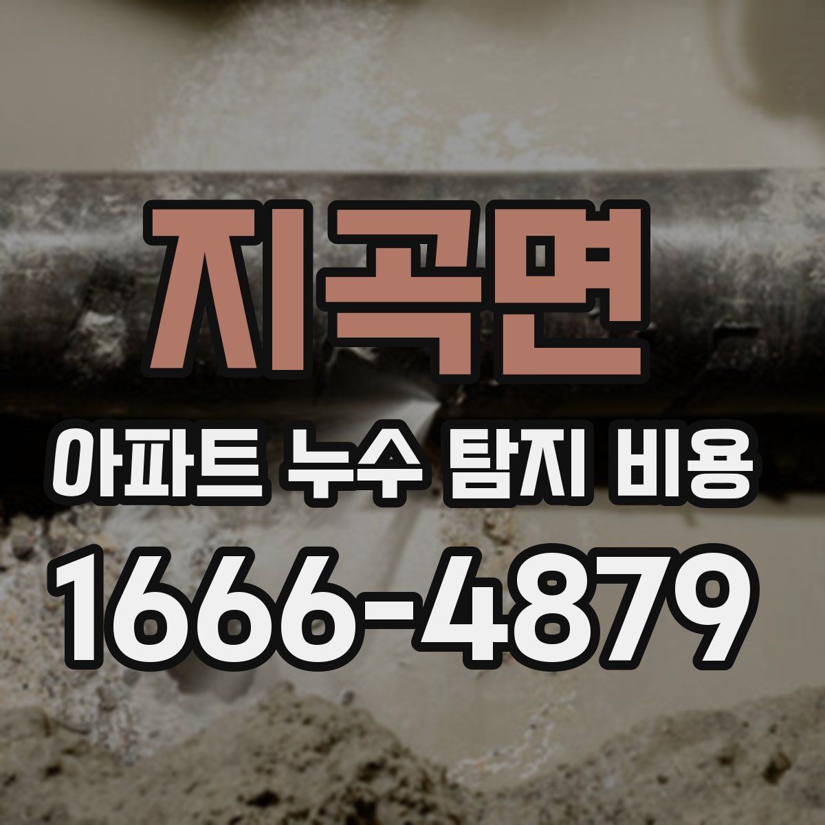 지곡면 아파트 누수 탐지 비용