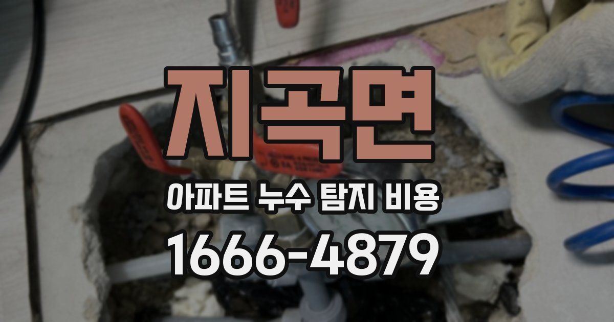 지곡면 아파트 누수 탐지 비용