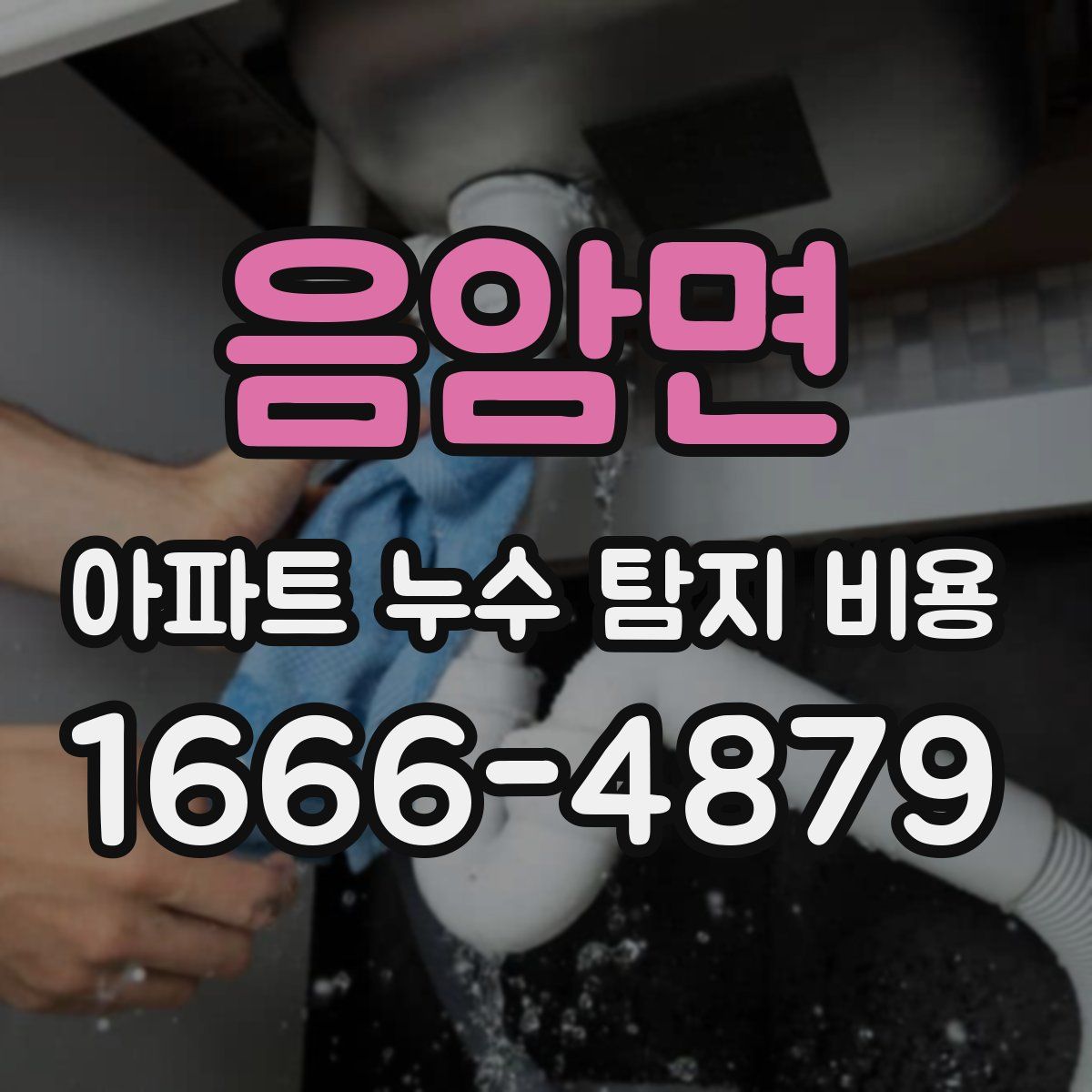 음암면 아파트 누수 탐지 비용