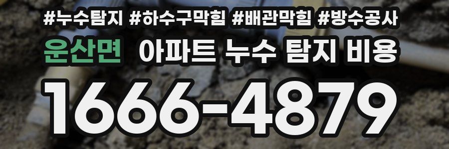 운산면 아파트 누수 탐지 비용