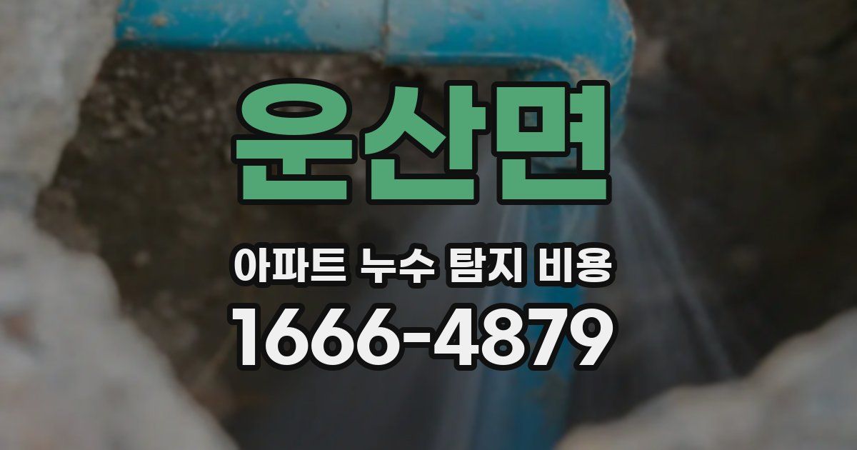 운산면 아파트 누수 탐지 비용