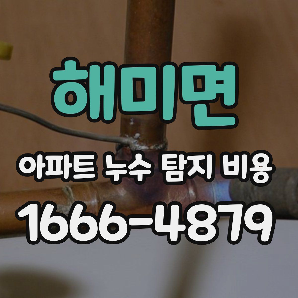 해미면 아파트 누수 탐지 비용