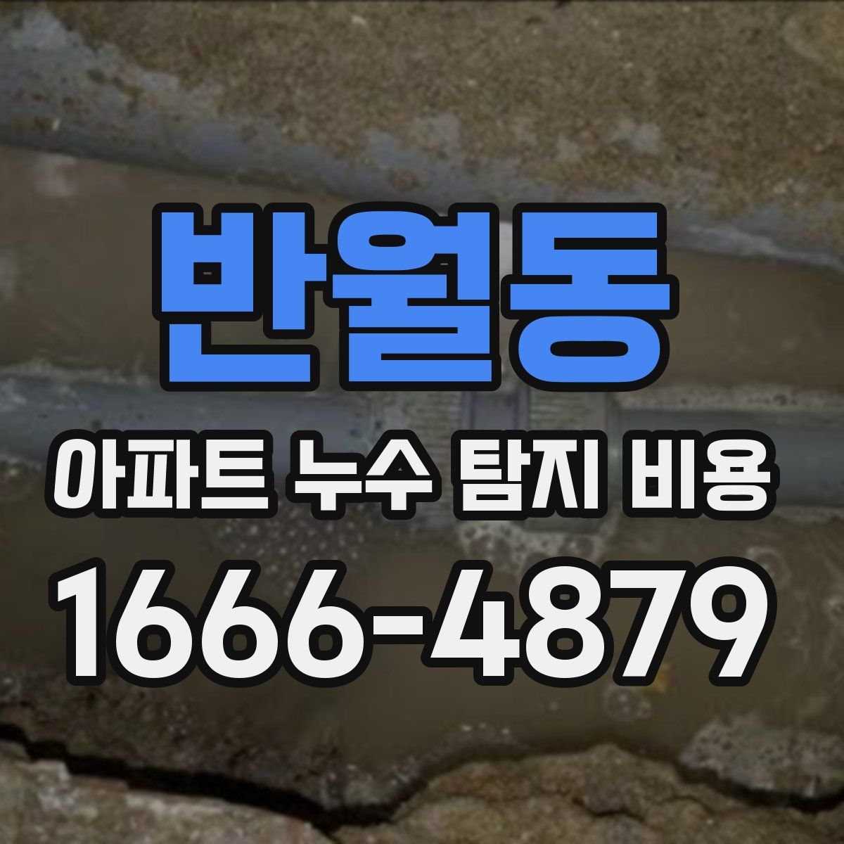반월동 아파트 누수 탐지 비용