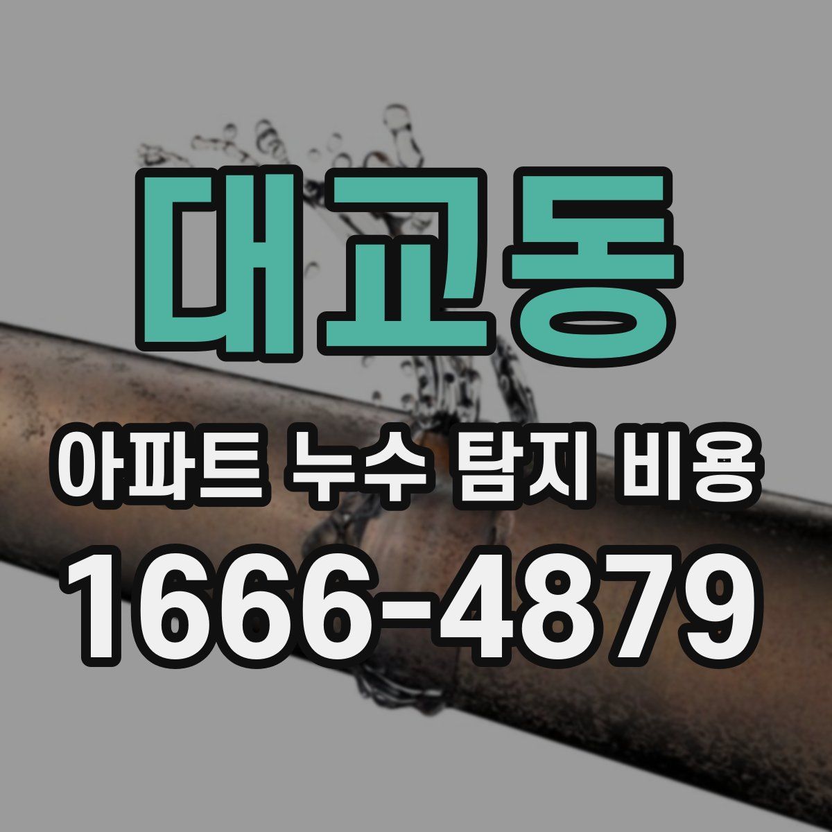 대교동 아파트 누수 탐지 비용