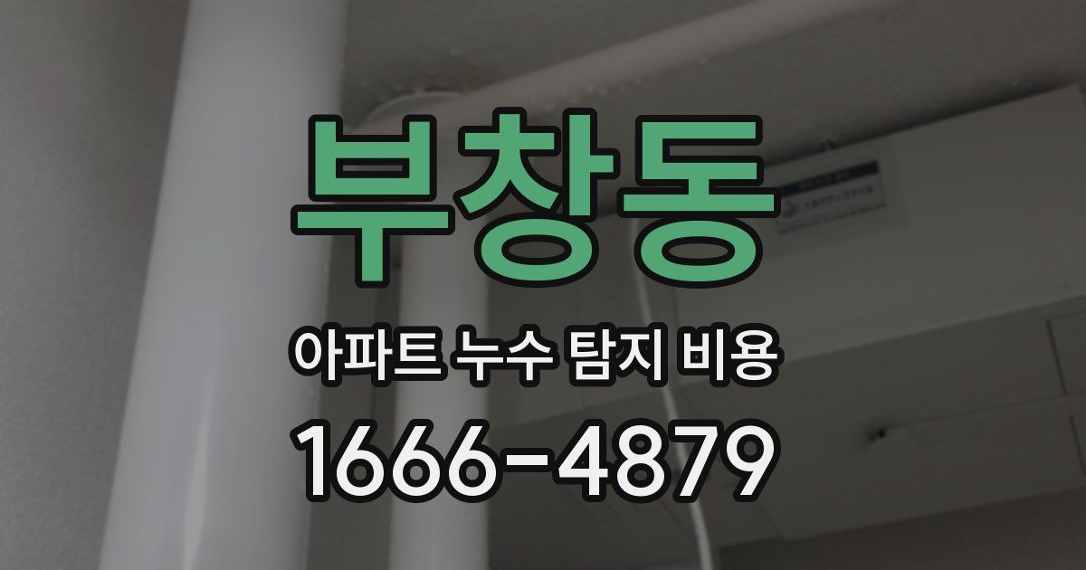 부창동 아파트 누수 탐지 비용