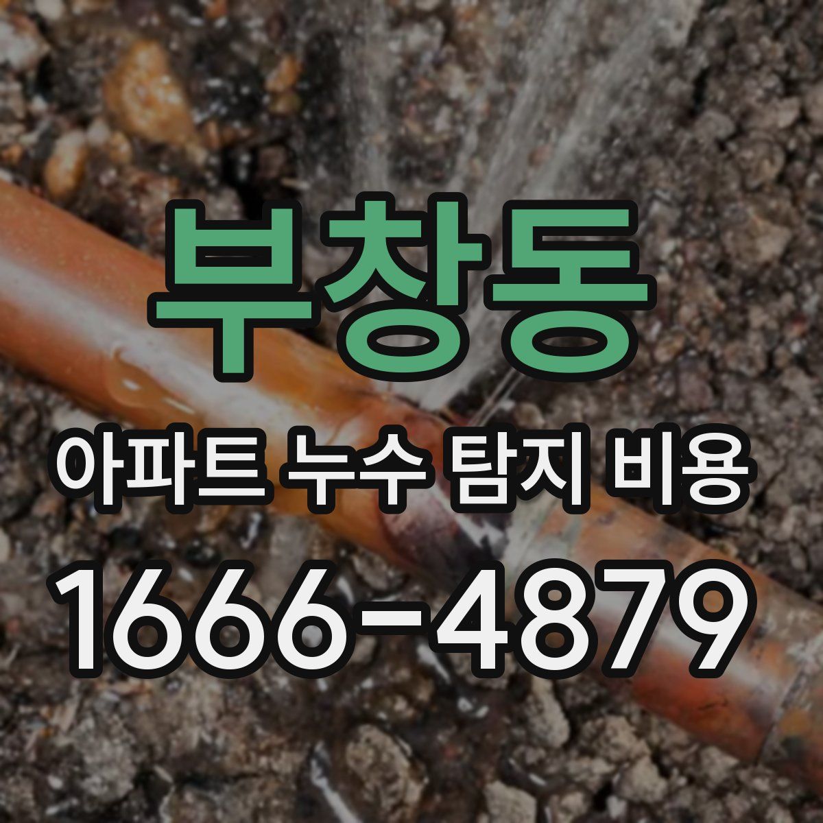 부창동 아파트 누수 탐지 비용