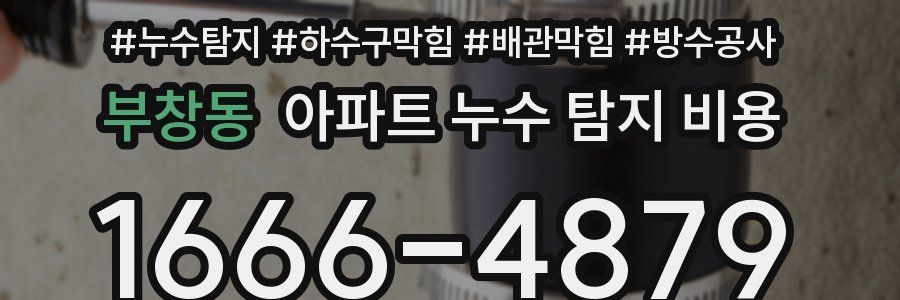 부창동 아파트 누수 탐지 비용