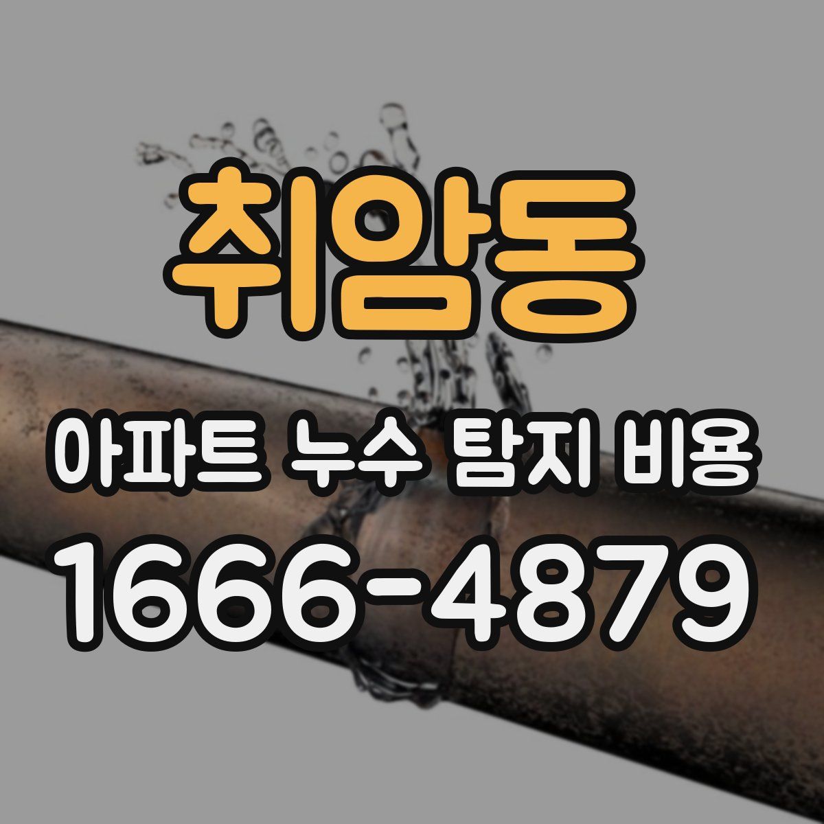 취암동 아파트 누수 탐지 비용