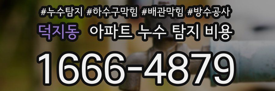 덕지동 아파트 누수 탐지 비용