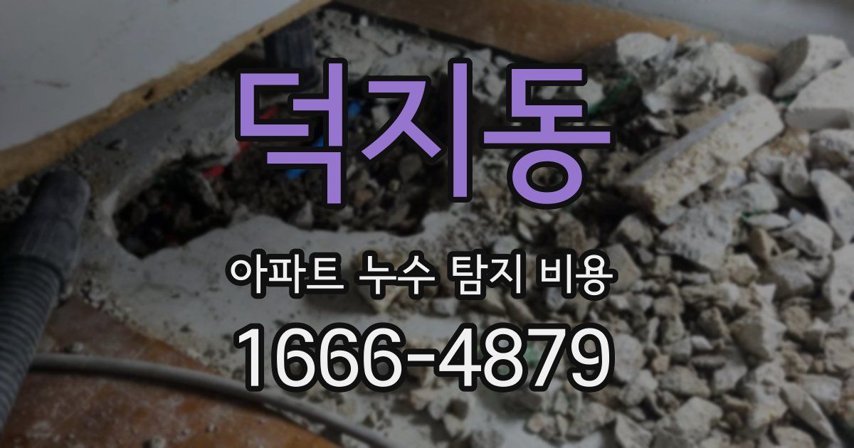 덕지동 아파트 누수 탐지 비용