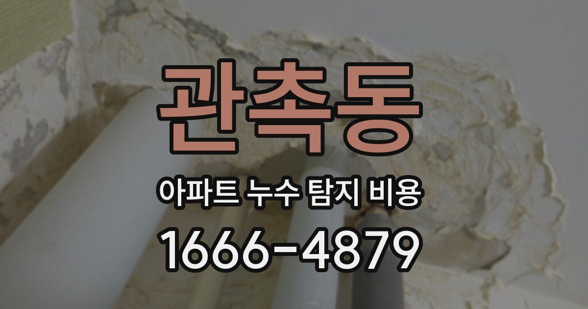관촉동 아파트 누수 탐지 비용