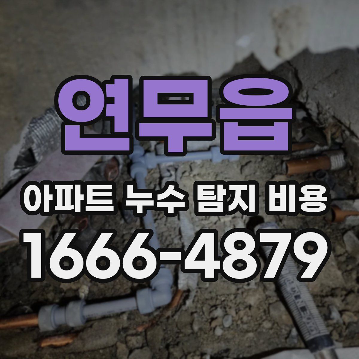 연무읍 아파트 누수 탐지 비용