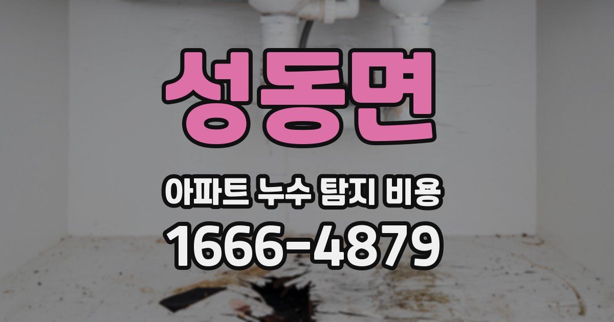 성동면 아파트 누수 탐지 비용