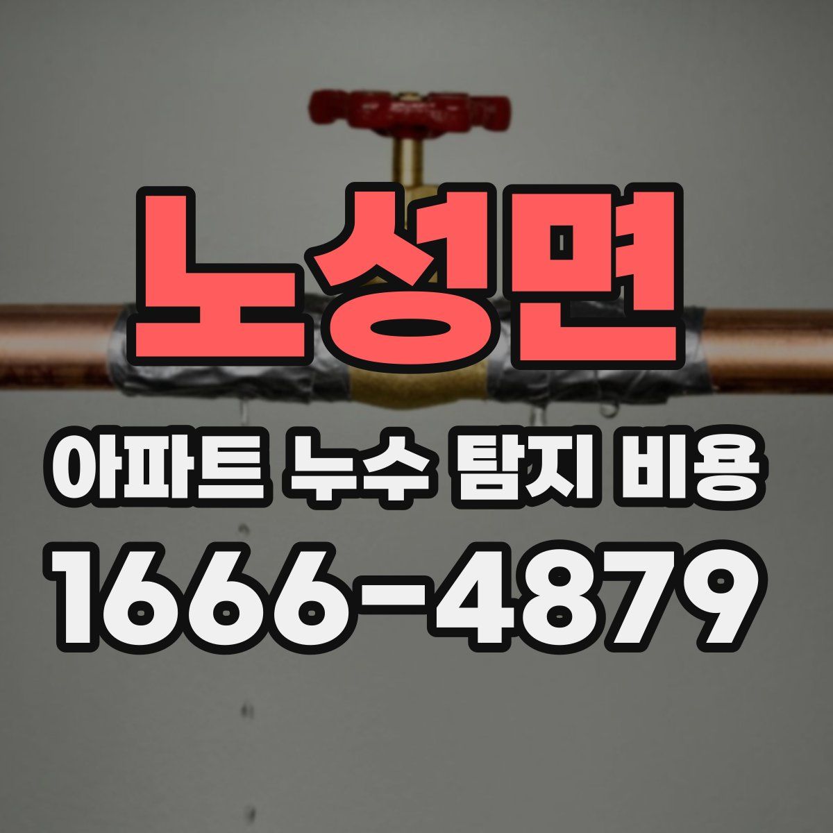 노성면 아파트 누수 탐지 비용