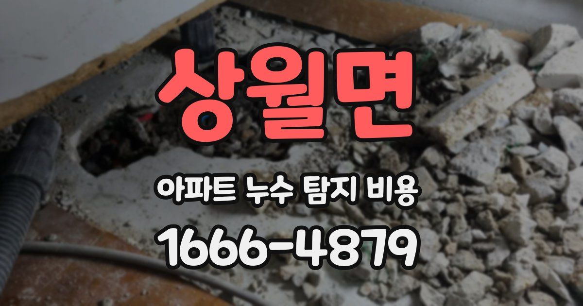상월면 아파트 누수 탐지 비용
