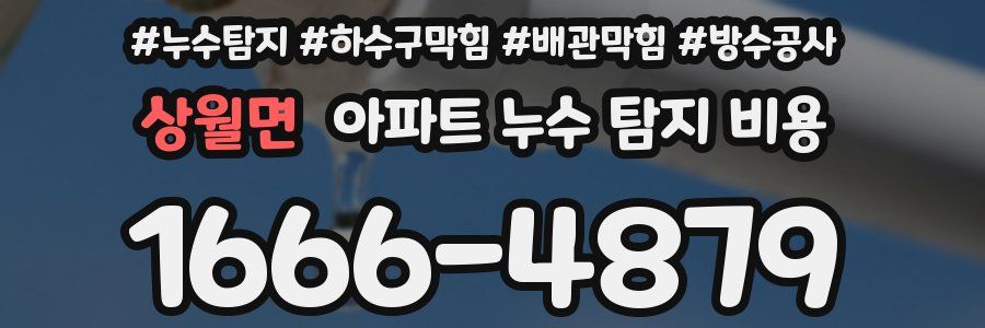 상월면 아파트 누수 탐지 비용
