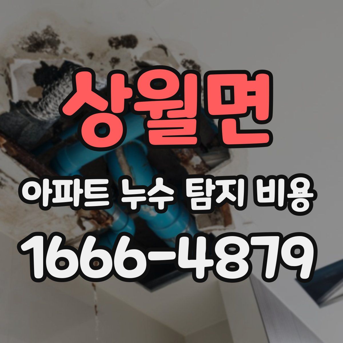 상월면 아파트 누수 탐지 비용
