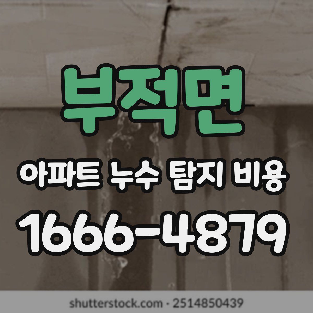 부적면 아파트 누수 탐지 비용