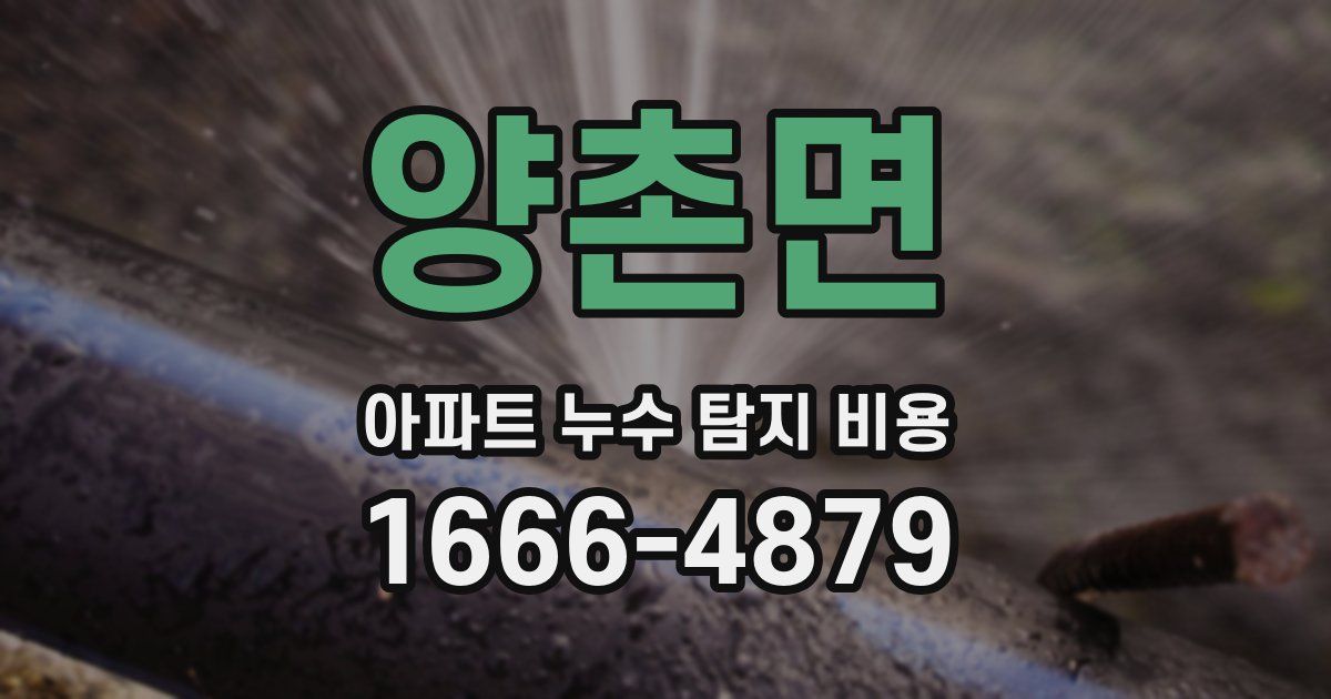 양촌면 아파트 누수 탐지 비용