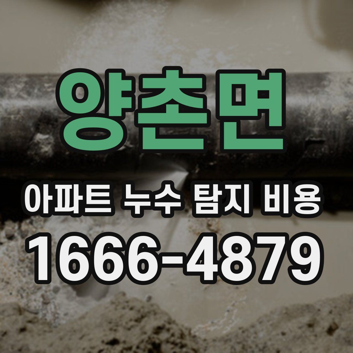 양촌면 아파트 누수 탐지 비용