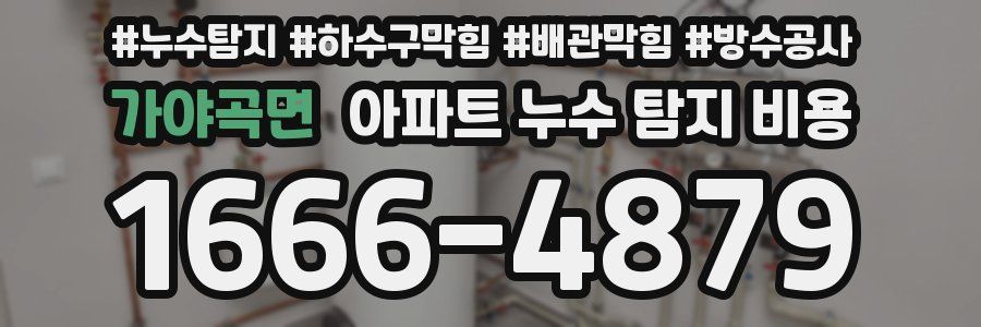 가야곡면 아파트 누수 탐지 비용