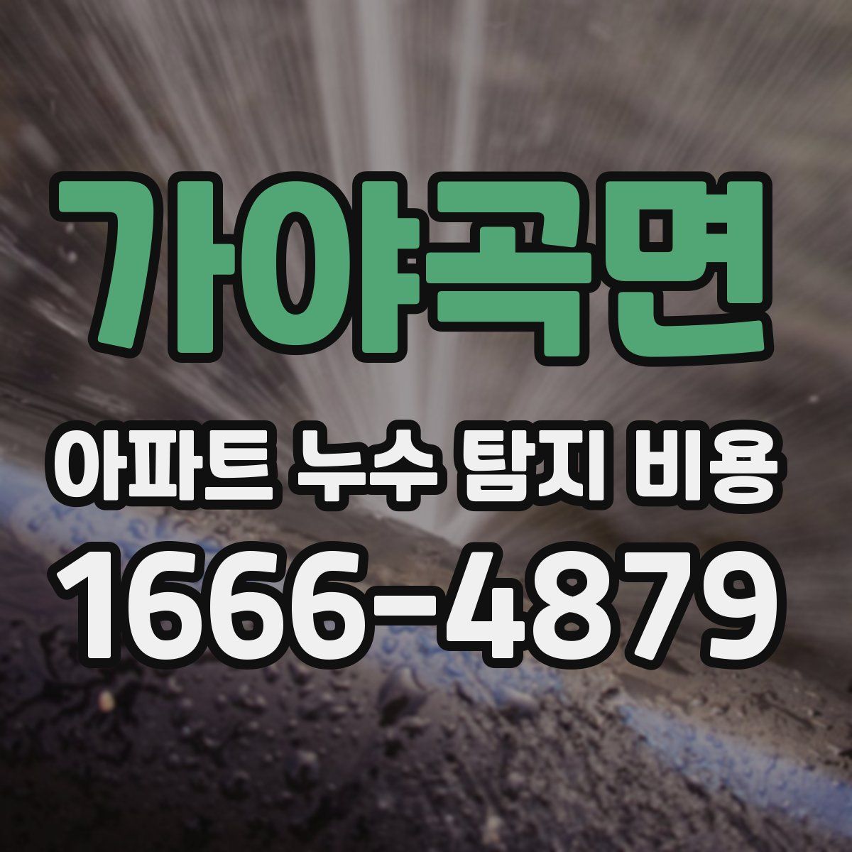 가야곡면 아파트 누수 탐지 비용