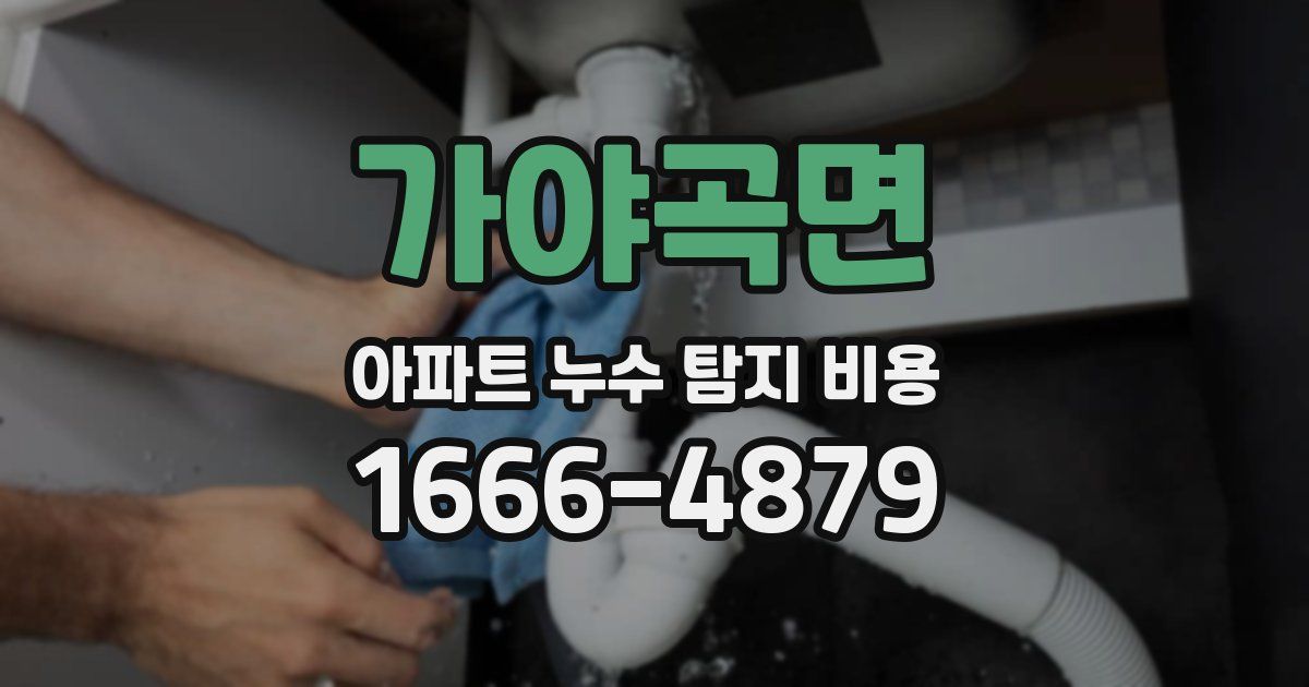 가야곡면 아파트 누수 탐지 비용