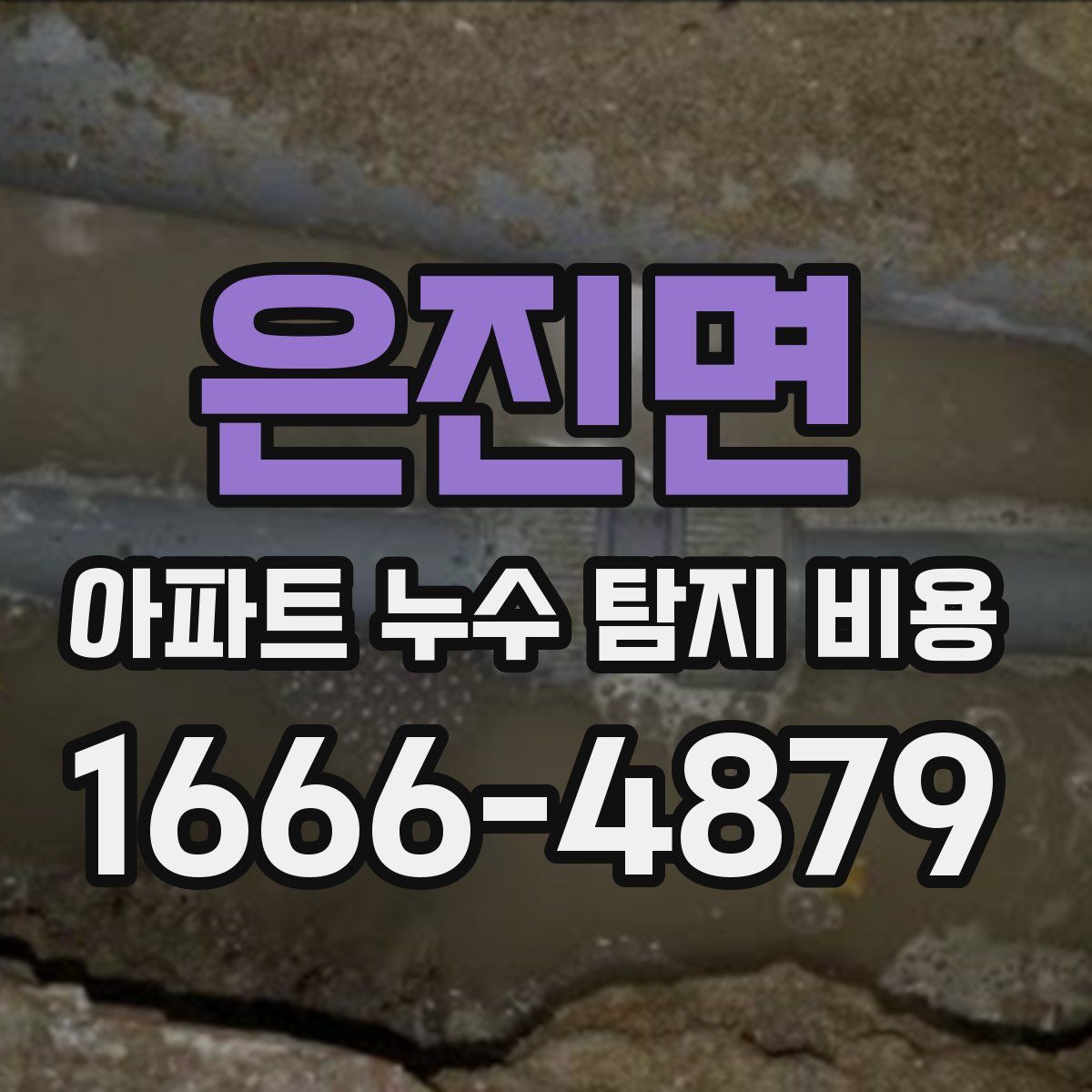 은진면 아파트 누수 탐지 비용