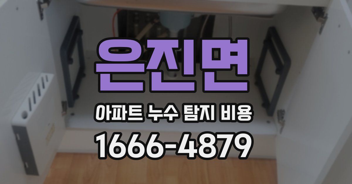 은진면 아파트 누수 탐지 비용