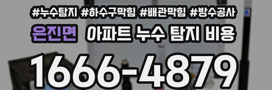 은진면 아파트 누수 탐지 비용