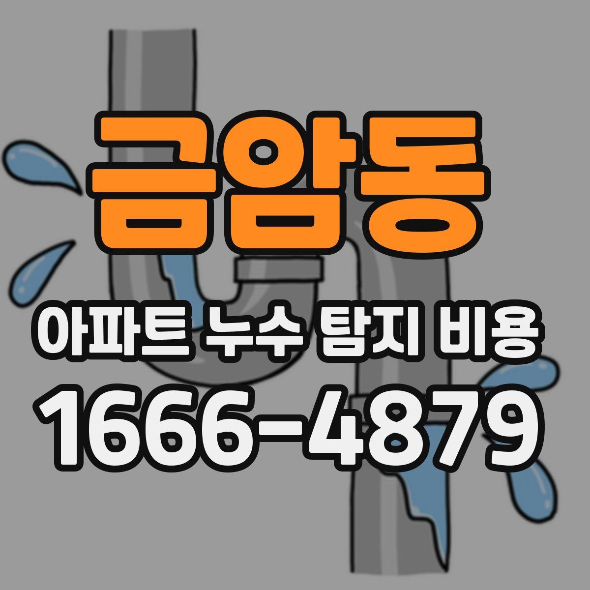 금암동 아파트 누수 탐지 비용