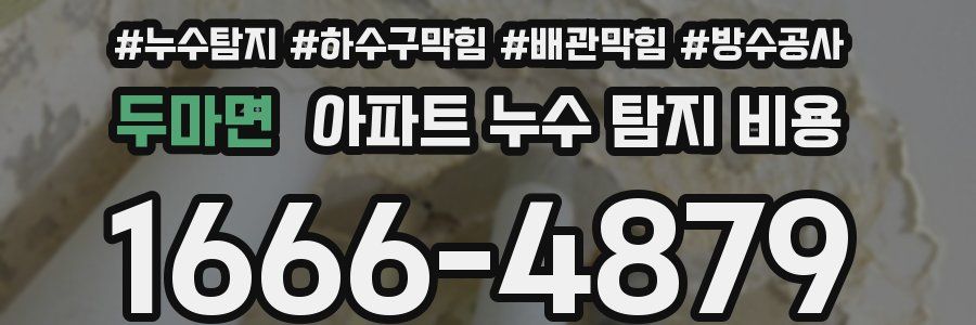 두마면 아파트 누수 탐지 비용