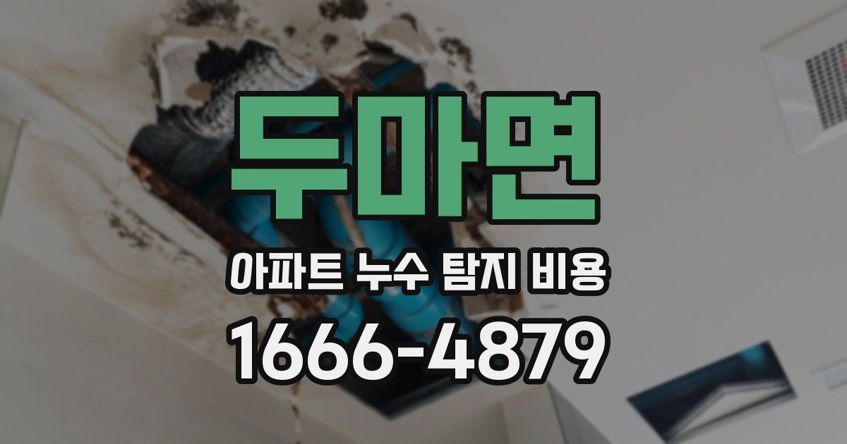 두마면 아파트 누수 탐지 비용