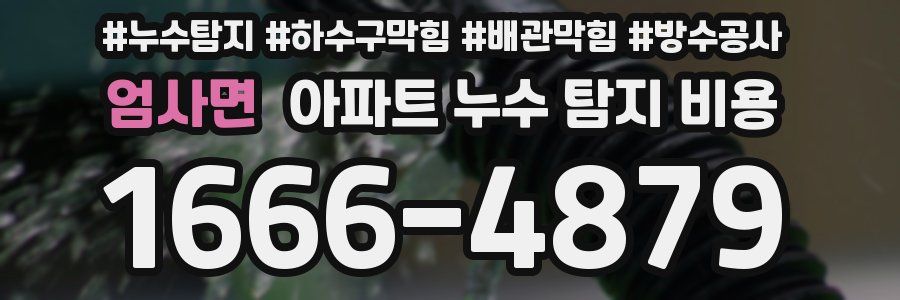 엄사면 아파트 누수 탐지 비용
