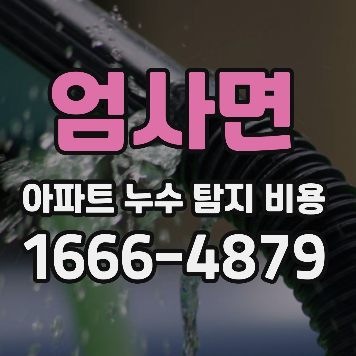 엄사면 아파트 누수 탐지 비용