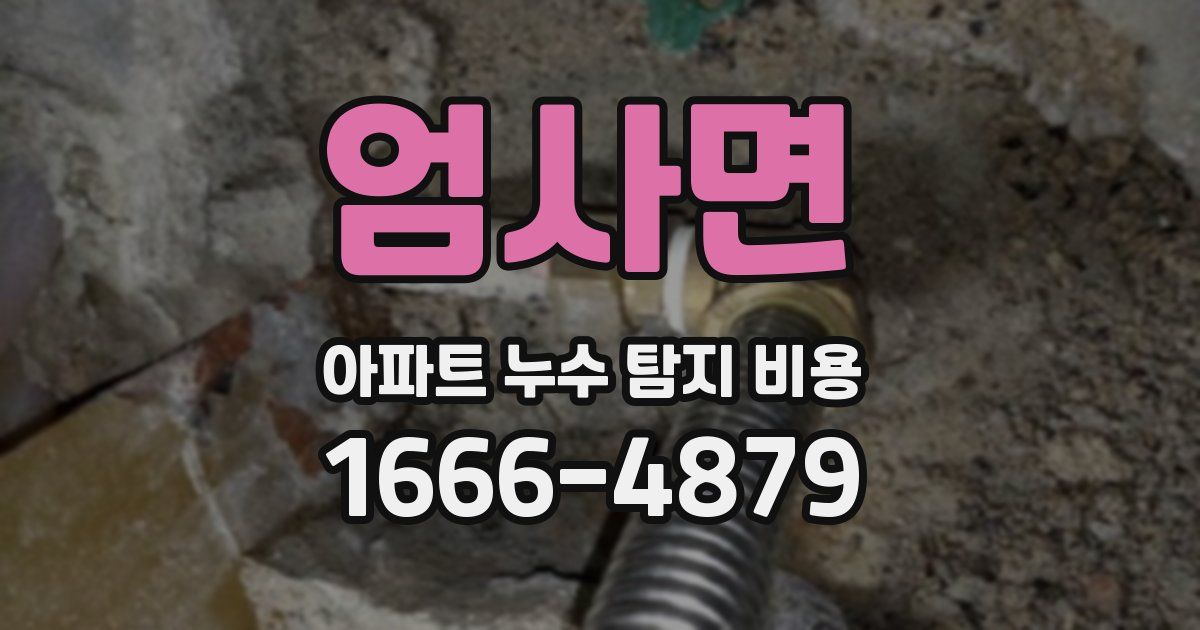 엄사면 아파트 누수 탐지 비용