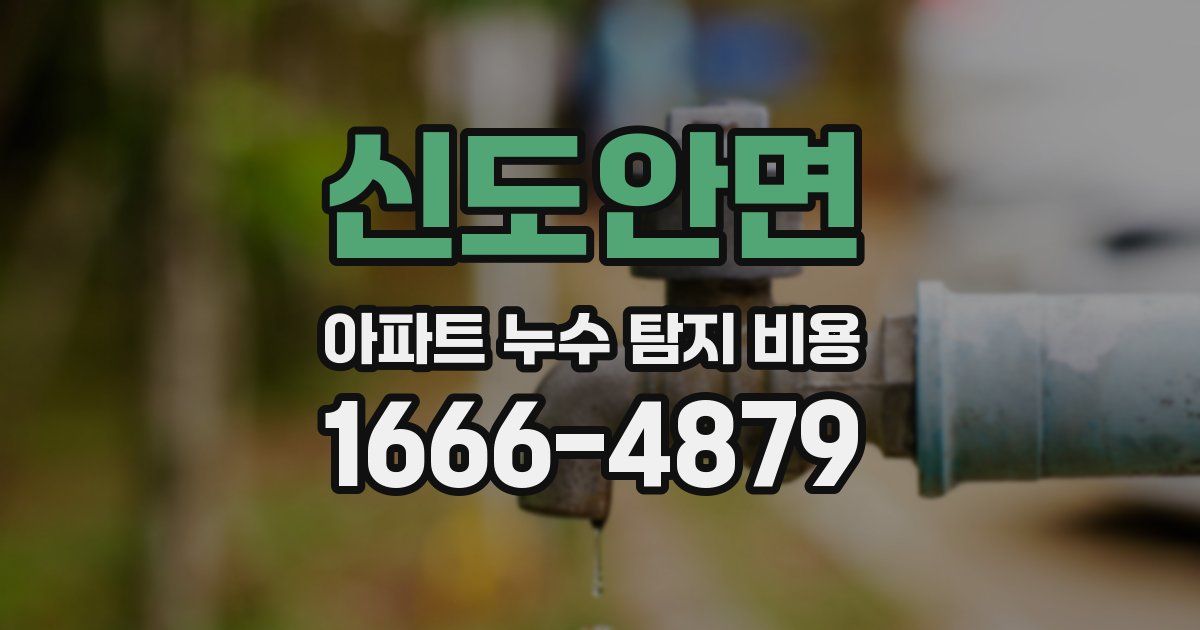 신도안면 아파트 누수 탐지 비용