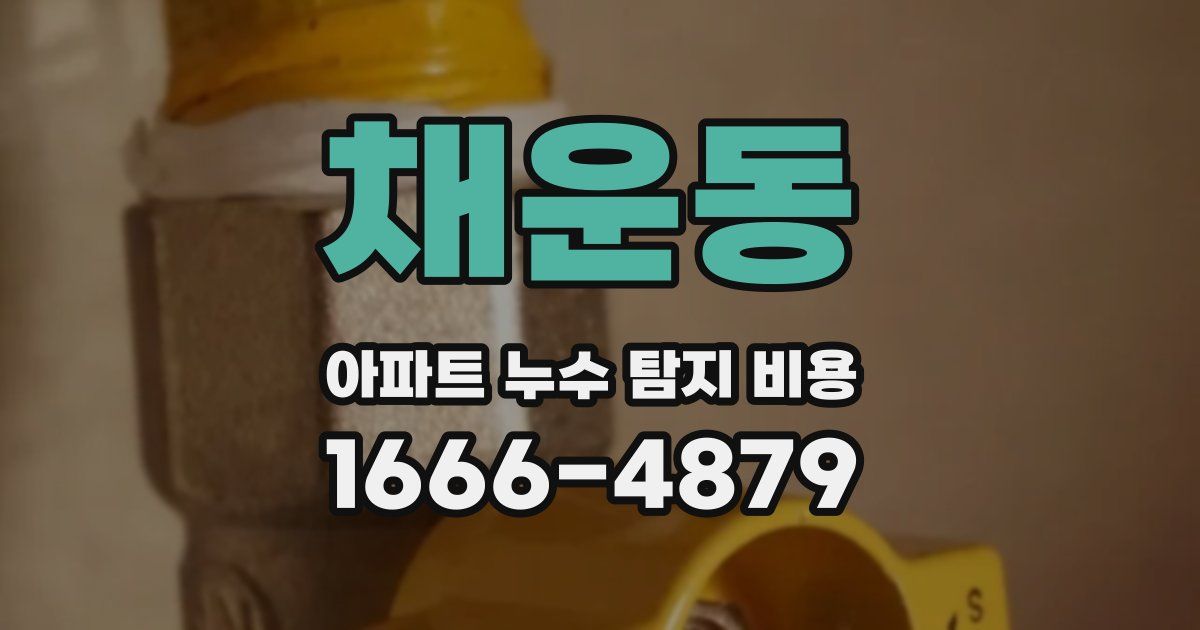 채운동 아파트 누수 탐지 비용