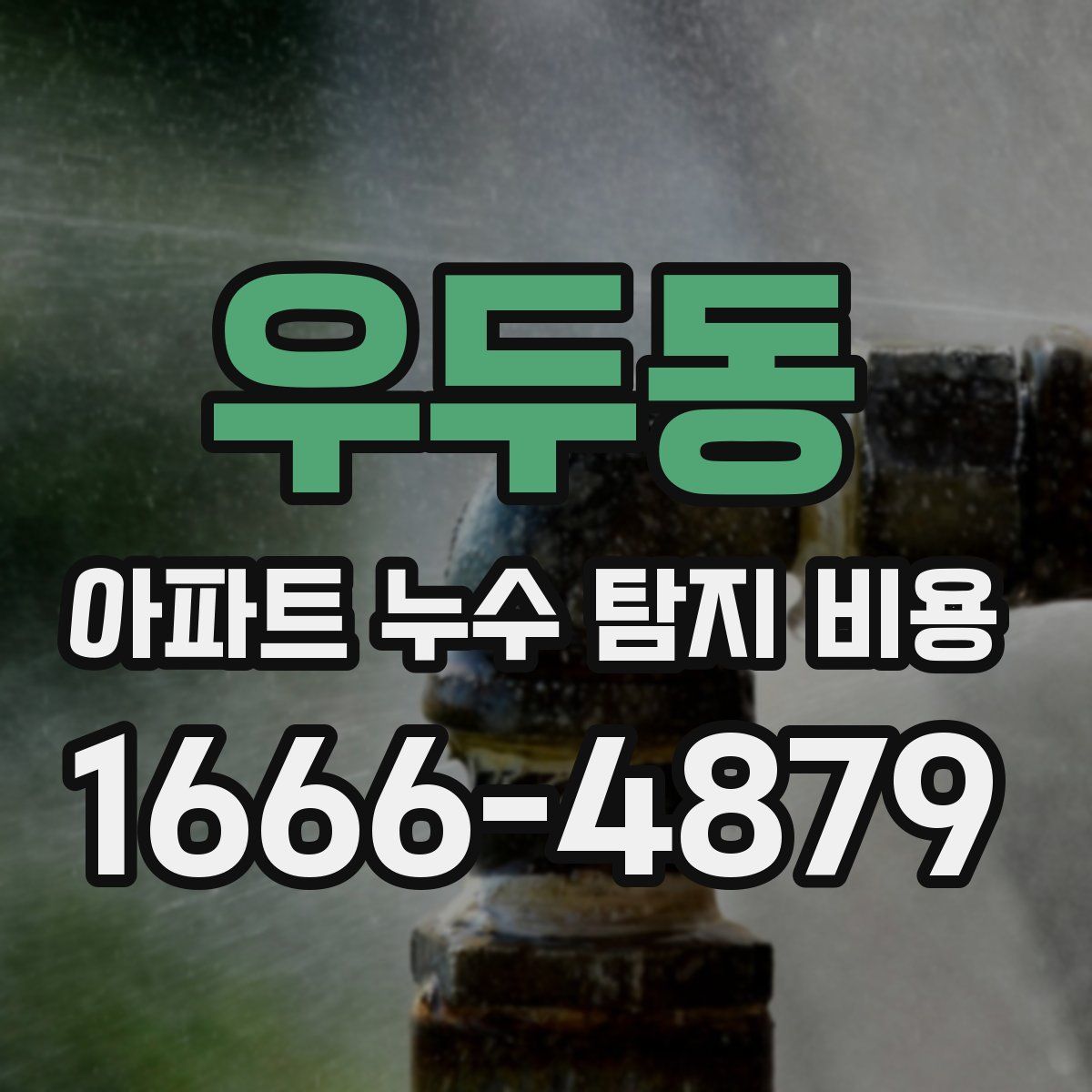 우두동 아파트 누수 탐지 비용