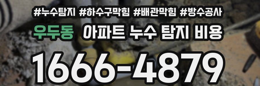우두동 아파트 누수 탐지 비용