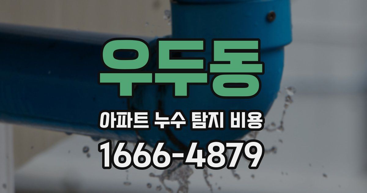 우두동 아파트 누수 탐지 비용